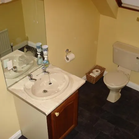 Glendine Irish 4*