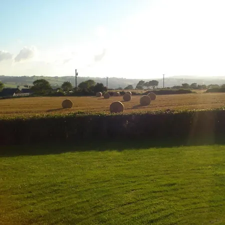 Glendine Irish 4*